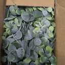 DearHouse Faux Eucalyptus Garland Plant, 2 Pack Artificial Vines Hanging Eucalyptus Leaves Greenery Garland for Wedding Backdrop Arch Wall Decor, 6 Feet/pcs UV Protected Indoor Outdoor