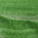 FREADEM Artificial Grass Rug, 4' x 6' Artificial Turf Fake Faux Grass Mat with Drainage Holes, Indoor Outdoor Synthetic Turfs for Garden Lawn Landscape Entryway Balcony Decoration