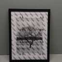 Egofine 12x16 Picture Frame Black Covered by Plexiglass Made of Solid Wood, Display Pictures 9x12 and 11x14 with Mat or 12x16 Without Mat for Wall Mounting Photo Frame