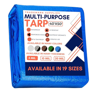 Trademark Supplies 40X60 Silver Tarp Tarpaulin Canopy Tent, Boat. RV Or Pool Cover (.Silver-medium Weight Protection)