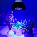 LED Aquarium Blue Light Blub, 18W (36W Equivalent) LED Plant Grow Light Bulb with 450-460nm Blue LEDs for Indoor Plants Veg and Aquarium Plants Growing