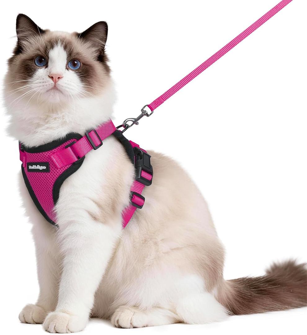 rabbitgoo Cat Harness and Leash for Walking, Escape Proof Soft Adjustable Vest Harnesses for Cats, Easy Control Breathable Reflective Strips Jacket, Rose Red, Medium