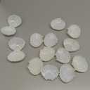 PH PandaHall 10pcs Seashell Box Container, Plastic Shell Shaped Jewelry Storage Holder White Seashell Boxes for Mermaid Beach Wedding Birthday Party Favors Christmas Home Decor, 3x3.5x1.7inch