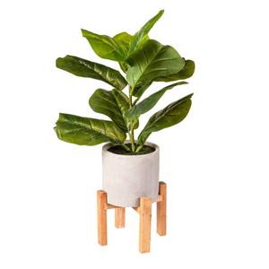 Bambeco Fiddle Tree with Wood Stand 10 in