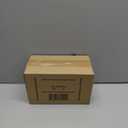 National Geographic Light Up Terrarium Kit for Kids - Build a Dinosaur Habitat with Real Plants & Gemstones, Science Kit, Dinosaur Toys for Kids