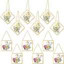 12 Pcs Hanging Clear Photo Frame Double Glass for Pressed Flower Floating Frame with Chain Display Gallery Artwork Horizontal Vertical Gold Metal Rectangle Wall Decor(3 x 3 Inch)