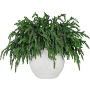 30 Pcs Realistic Pine Branches, Natural Droopy,Soft Bendable Stems, Lifelike Cedar for Vases, Wreaths,Garland Christmas Decorations, Thanksgiving Table Decor