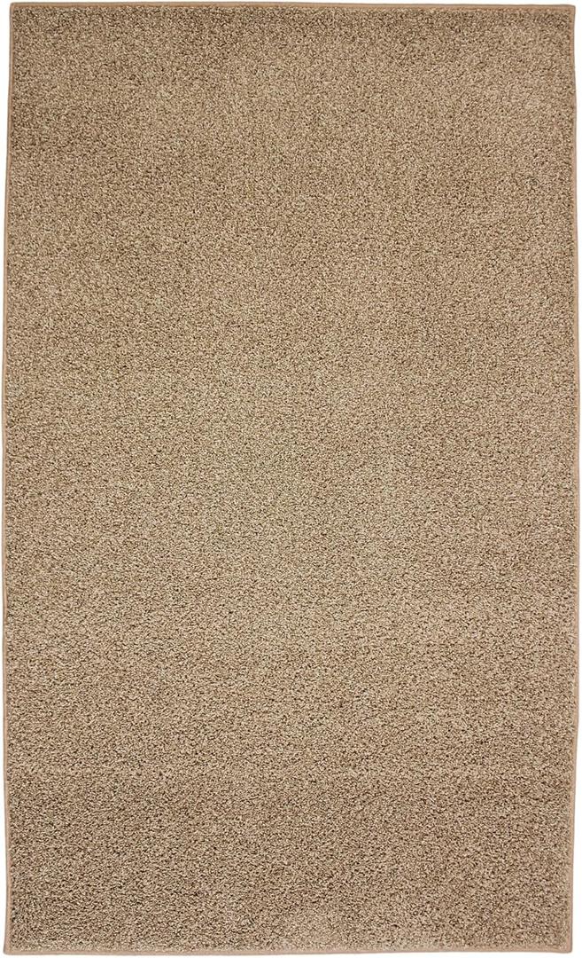 Area Rug Perfect for Living Room, Bedroom, Dorm, Nursery, Office 35x60 in