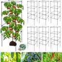 6 Packs Tomato Cages for Garden, 12"×12"×39" Plant Support Cage with Different Spacing, Green Metal Trellis for Climbing Plants Like Cucumber, Flowers