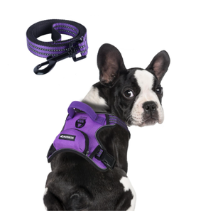 BUMBIN Dog Harness for Large Dogs, No Pull Adjustable No Choke Pet Vest with Dog Leash Fit Smart Reflective Pet Walking Harness for Training Easy Control Soft Handle Purple S