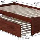AFI Concord Twin XL Size Platform Bed with Footboard & Twin XL Trundle in Walnut