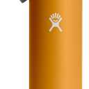 Hydro Flask Water Bottle - Insulated Stainless Steel - Wide Straw Lid, Non Spill, Leakproof in 24 Oz Fossil Brown