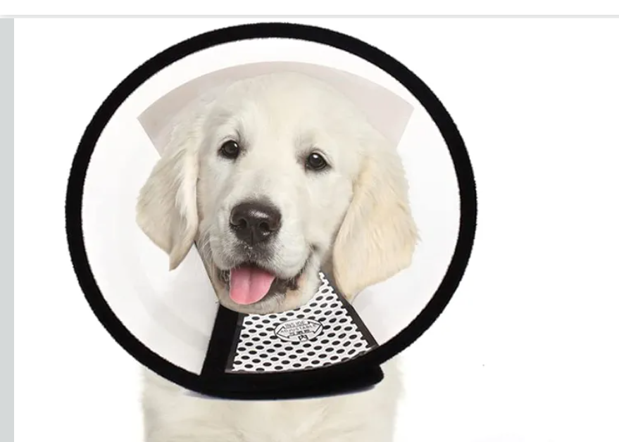 Plastic Pet Recovery Collars & Cones for Dogs and Cats After Surgery Adjustable Dog Neck Cone Surgical Elizabeth E-Collar Prevent Biting and Stop Licking Wound, Size Medium