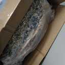 BLOOMHAVEN Quilt Set King Size, Patchwork Burnt Orange Floral Quilt Sets, Reversible Bedspread Lightweight and Breathable for All Seasons, Soft Quilted Bedspread with 2 Pillow Shams