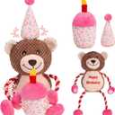 EXPAWLORER Squeaky Dog Birthday Toys - Durable Plush Dog Toy with Crinkle Paper,Chew Toys Soft Fabric for Small, Medium, and Large Dogs to Keep Them Busy,Training Reward, Pink Bear