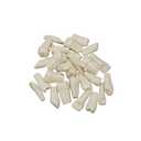 32pcs Removable Teeth Piece for Typodont Teeth Model Compatible with Kilgore Nissin for Teaching, Study
