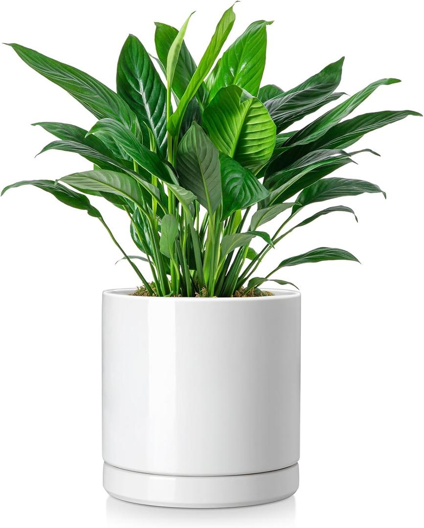Vancasso Ceramic Plant Pots, 8.25 Inch Ceramic Pot for Plants, Planters Pots for Indoor Plants with Drainage Holes, Flower Pot for Indoor House Plant, White