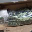 Artificial Olive Tree, 6FT Tall Faux Olive Tree with Pot, Artificial Plants with Natural Wood Trunk and Lifelike Fruits for Home Office Decor