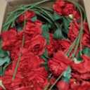 Thiccywoov 36 Bundles Artificial Flowers Peonies Roses 108 Heads Fake Silk Peony Bouquet Floral Arrangements for Wedding Bridal Shower Valentine's Day Table Centerpieces Vase Decoration(Red)