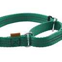 Aiminto Adjustable Nylon Reflective Martingale Dog Collar for Training and Walking (Green, XS (Neck: 10"-14", Width: 3/ 8"))