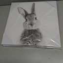 2 x daktenn Bunny Wall Art Lovely Rabbit Posters for Baby Room Easter Artwork Nursery Wall Decor Easter Wall Art Rabbit Pictures Wall Decor Bunny Pictures for Bathroom Bedroom 14x14 Inches