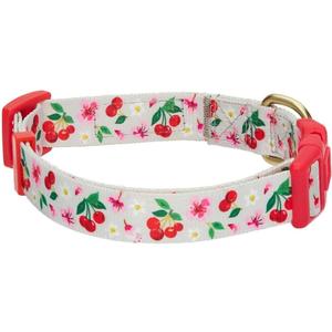 Blueberry Pet 7 Patterns Cherry Garden Grey Adjustable Dog Collar with Dainty Flowers, Medium, Neck 14.5"-20"