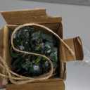 32 PCS Dried Eucalyptus Bundle for Shower - 17" Large Preserved Eucalyptus Stems Plant, Fresh Real Plants Leaves for Shower Hanging, Artificial Flowers Arrangement, Home Bathroom Decor