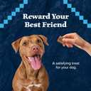 Blue Buffalo Wilderness Trail Treats High Protein Grain Free Dog Biscuits Crunchy Dog Treats, Turkey Recipe, 24-oz Bag (24 Ounce (Pack of 1))