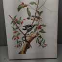 Trademark Fine Art 'Downy Woodpecker' Canvas Art by John James Audubon 18x24