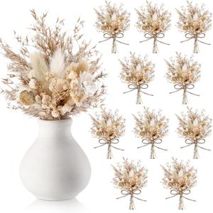 Nuanchu 12 Pcs Mini Dried Flower Bouquet 6" Natural Small Dried Flower with Stem for Birthday DIY Crafts Scrapbook Vase Boho Party Plates Cake Bridesmaid Gifts Card Envelope Decor (Boho)