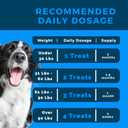 Dog Multivitamin Soft Chews | All-in-One Supplement for Immunity, Joints, Gut & Skin Health | Glucosamine Chondroitin, Vitamins & Probiotics | Roasted Peanut Flavor - 90 Count