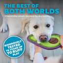 Outward Hound Tough Skinz Durable Squeaky Dog Toy with Two Tough Layers, Avocado, Green, Medium