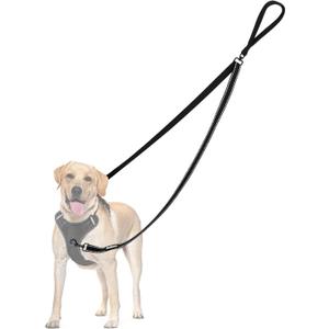 PetBonus Two Point Control Dog Leash, Works with No Pull Harnesses, No Tangle Training Leashes, Soft Padded and Reflective Walking Lead, Converts to Single Lead for Medium Large Dogs (Black) 4ft length