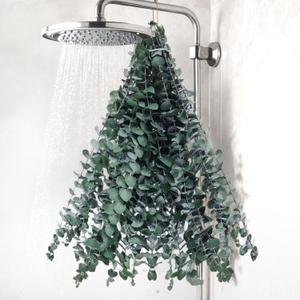 DomeStar 16PCS Real Dried Eucalyptus Stems for Shower, 16"-17" Natural Shower Eucalyptus Bathroom SPA Stress Relax and DIY Hanging Greenery Wreath for Home Wall Wedding Christmas Decor