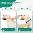 GLADOG Soft Dog Cone Collar, 3 PCS (XL is Only 1 PCS) Flexible Plastic Cone for Dogs After Surgery, Dog Recovery Collar, Adjustable E-Collar for Large/Medium/Small Dogs Cat, Comfy Elizabethan Collar (Black)