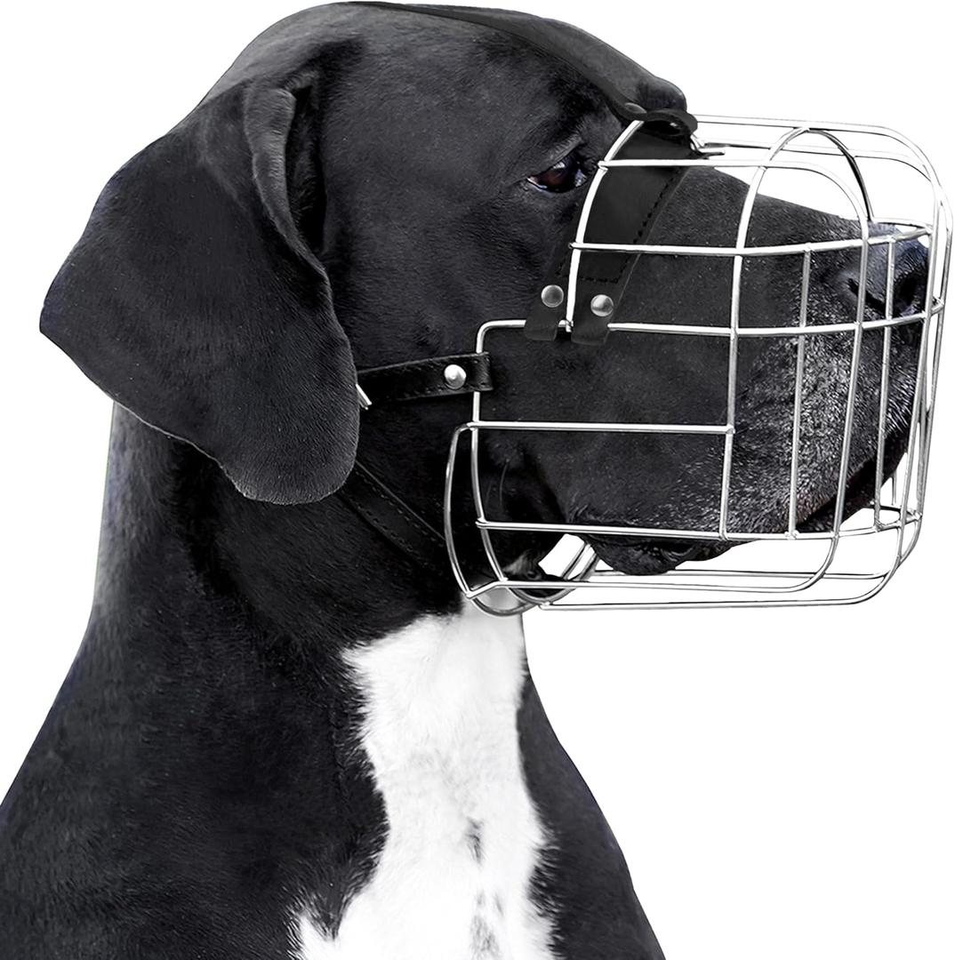 BRONZEDOG Dog Muzzle Adjustable Durable Metal Wire Basket for Large and Extra Large Dogs with Leather Straps Breathable, Drinkable, Training, Prevents Biting (Stainless Steel, Great Dane)