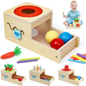 Montessori Toys for 1 Year Old, 6 in 1 Wooden Toys for Baby Boy Girl, Object Permanence Box, Color&Shape Sorting Learning Matching Game, Carrot Harvest, Preschool Educational Gift (new coin box), Medium