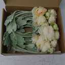 6PCS Artificial Ranunculus Flowers with Real Touch Stem Silk Ranunculus Flowers for Household Arrangement (Champagne)