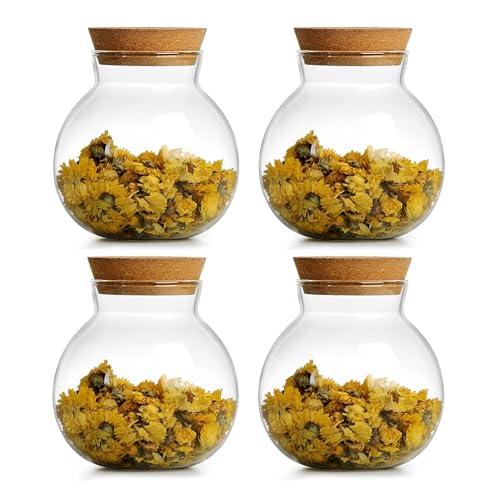 DNIENKGE 17oz Spherical Glass Jar with Cork Lid Airtight - Kitchen Glass Jar for Preserving and Storing candy, tea, Coffee, Spice, flour, Beans etc