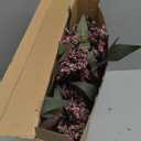 Zeyune 3 Pcs Artificial Dusty Plum Berry Stem Spring Faux Flowers Picks Branches Fake Realistic Sedum Stem Spray for Wedding Holiday Seasonal Farmhouse Mantel Harvest DIY Home Decorations(35 Inch)