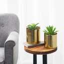 MyGift Set of 2 Handcrafted Shiny Brass-Tone Metal Plant Pots & Flower Vases Decorative Indoor Table Planters, Handmade in India