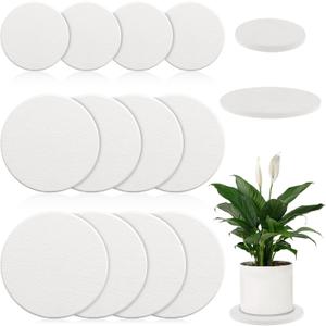 12Pack Diatomaceous Earth Coaster 4/6/8inch Diatomite Plant Saucer Stone Plant Sourcer Instant Dry Water Absorbent Diatomite Tray Water Absorbent Plant Coasters Absorbent Pad Diatomaceous Earth Mat (White)