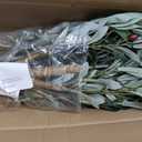 Artificial Fake Olive Tree 5FT Tall 2Pack Faux Silk Olive Tree for Home Living Room Office Decor Faux Artificial Plants Indoor Fake Potted Plants with Fruit & Free Moss