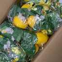 8 Pcs Artificial Lemon Flower Garland Vine, 56 Ft | Fake Yellow Lemon Vines Silk Flowers Hanging Floral Garlands Decoration for Room Wall, Flower Themed Party, Wedding Supplies