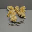 Hollyone 6 Pcs Beige Hydrangea Artificial Flowers Heads with Stems Silk Faux Hydrangea Champagne Fake Flowers for Home Indoor Outdoor DIY Floral Wedding Flower Bouquets Kitchen Table Centerpiece Decor