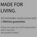 icebreaker Men's Merino Lifestyle Light Crew Socks, Merino Wool Blend Sock for Everyday Wear (Black, XL)