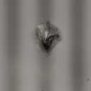 Click&Fit Windshield Washer Nozzles Repair kit compatible with Hyundai Kia from 2000 to 2013, Sorento Optima Sportage Sonata Elantra Santa Fe Tucson  with check valves, hose, connectors