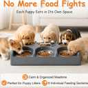 Puppy Feeding Station for 6 Puppies, Puppy Food Bowl System, Puppy Feeders for Multiple Puppies, Litter Dog Bowl Feeder with Individual Feeding Spaces, Anti-Competition, Easy Clean Durable PP Material