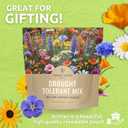 Drought Tolerant Wildflowers Mix  Extra Large Packet  Over 7,500 Open Pollinated Non-GMO Seeds  21 Different Dryland Species (1 Ounce Pouch)