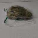 Halloween Decoration Cocoon Corpse
Halloween Decorations